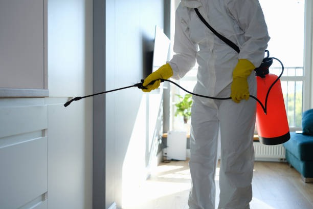 Best Mold Remediation for Specific Building Types in Richland, GA