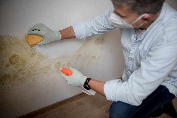 Best Bathroom Mold Remediation in Richland, GA