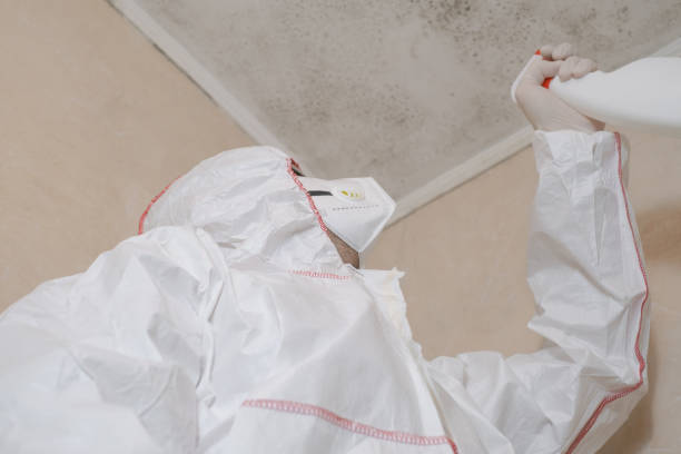 Best Preventive Mold Services in Richland, GA